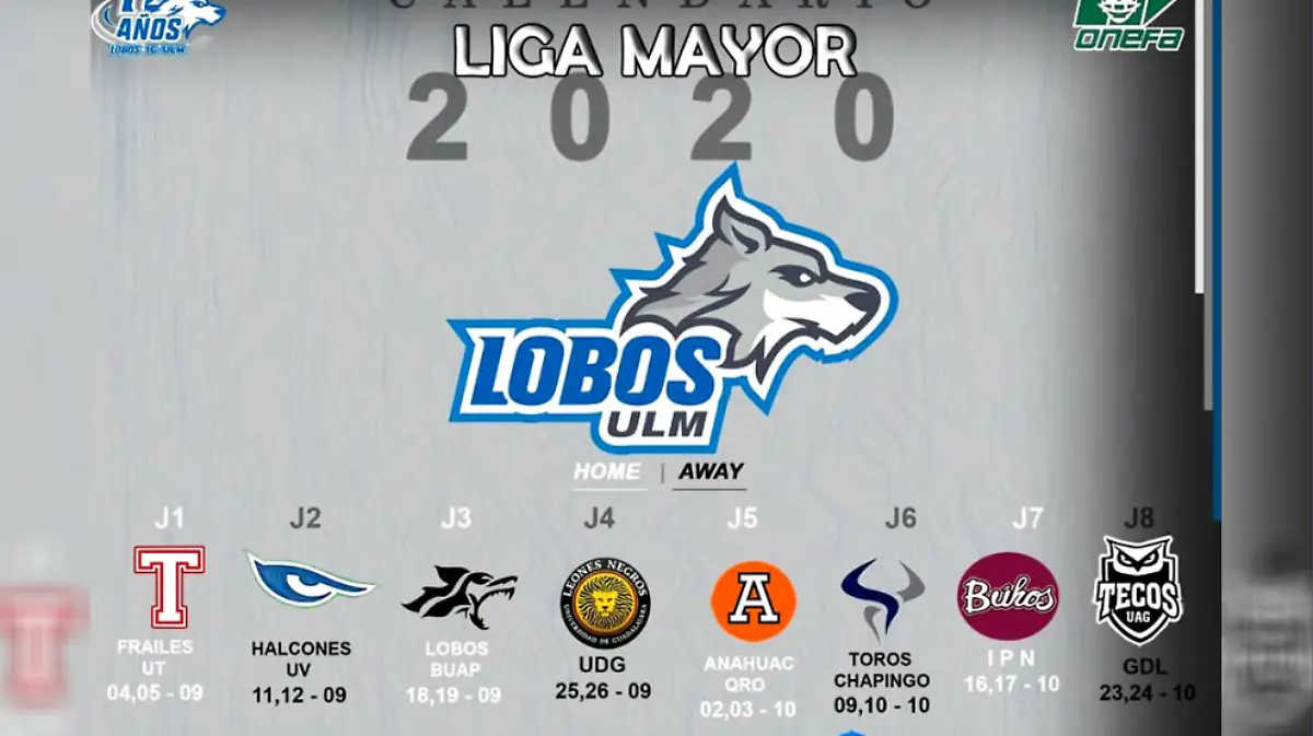 Liga mayor